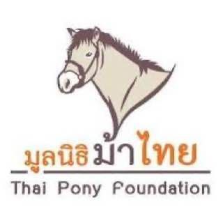 thai pony